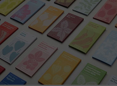 佛山平面设计培训学校如何选择？一份全面指南助你找到最适合的机构